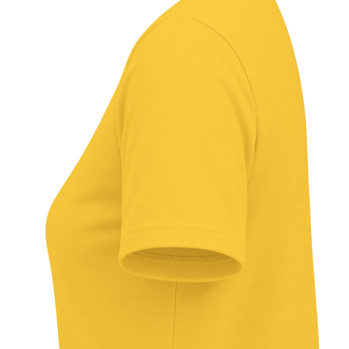 "Not My Home" Women's Softstyle Tee
